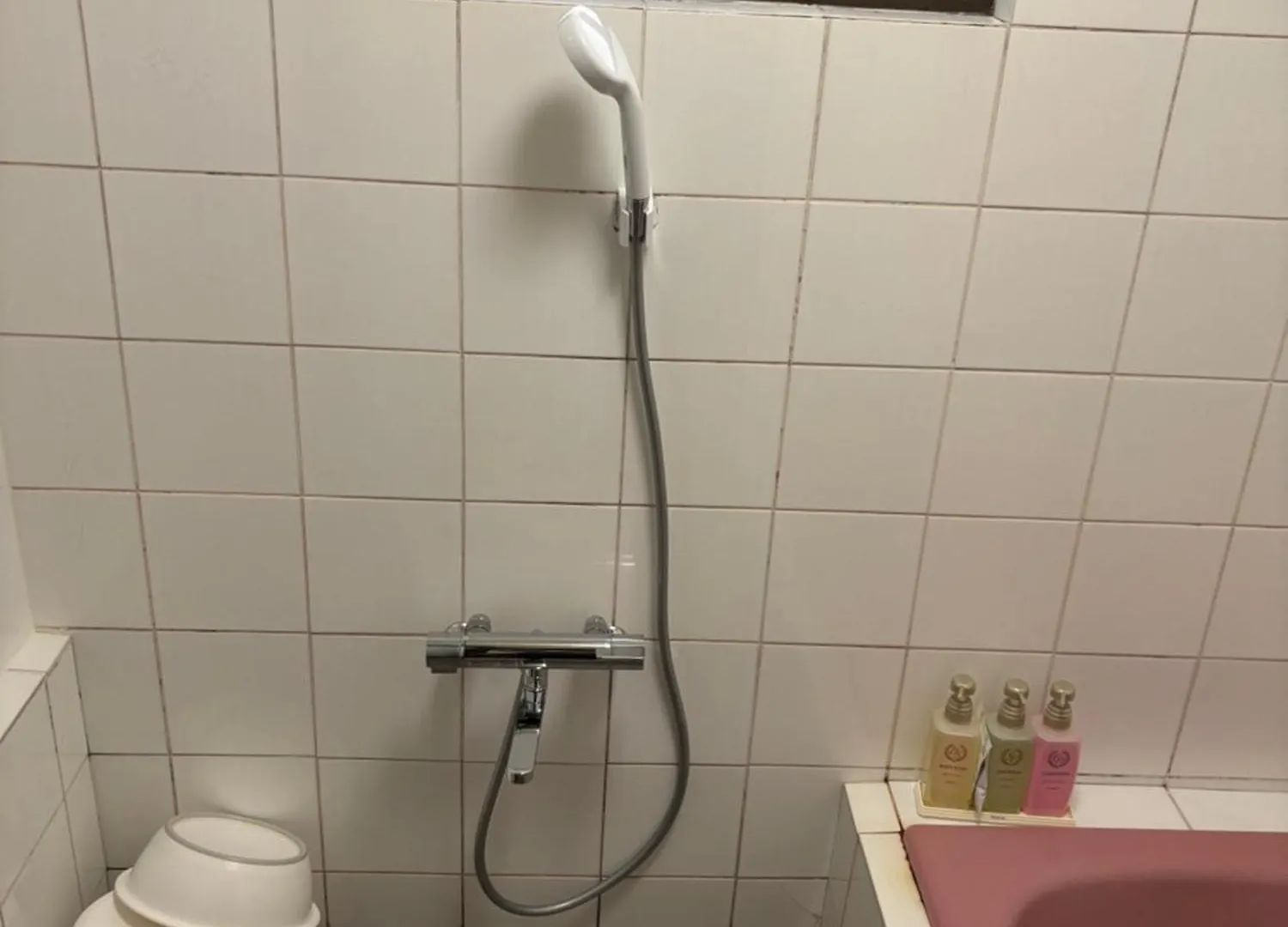 **  City Hotel Dolphin طوكيو اليابان