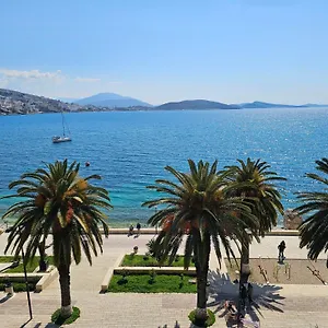 Pini Saranda